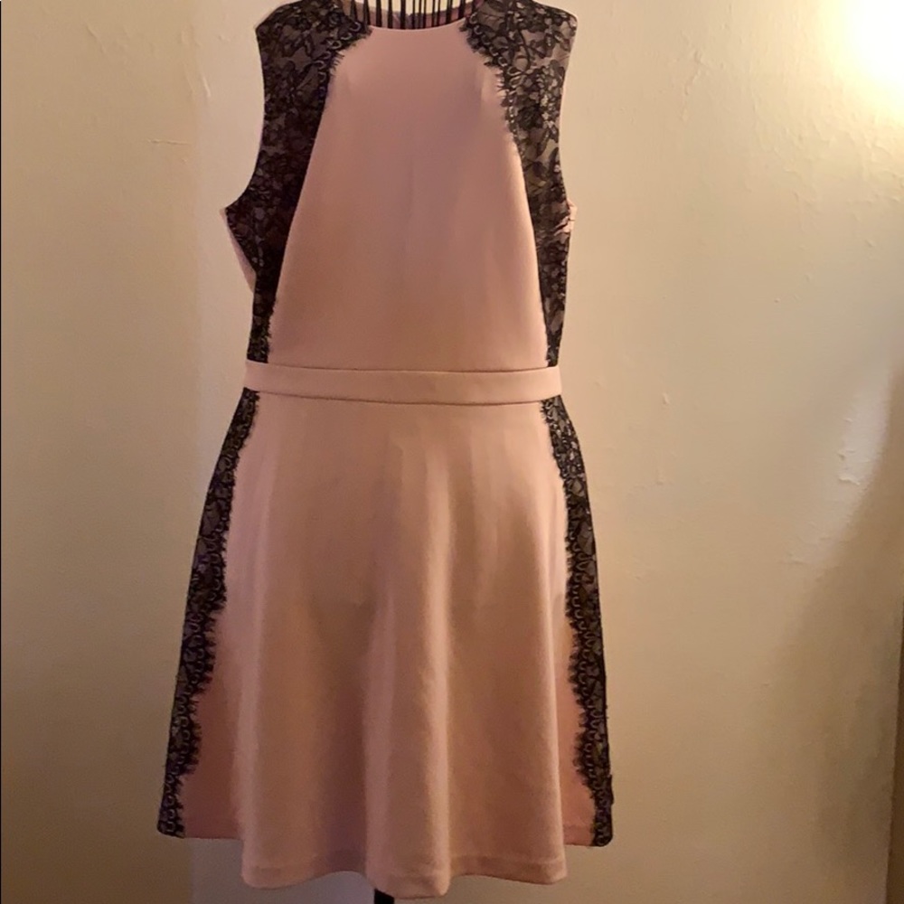 Dress Barn pink & black lace 16 size dress